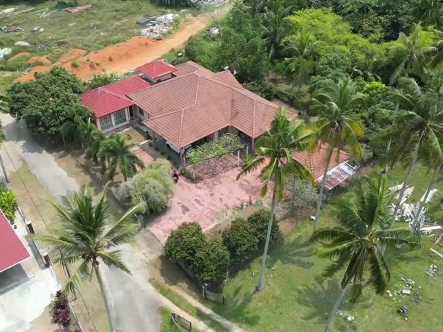 Video Image 1