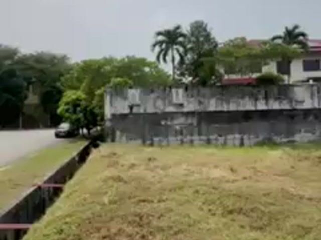 Video Image 1