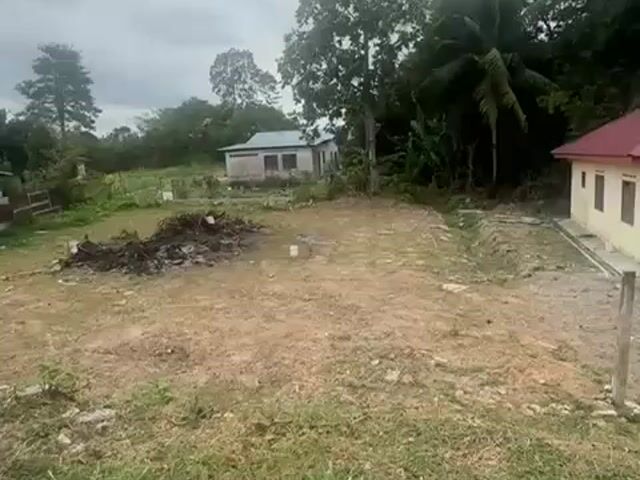 Video Image 1