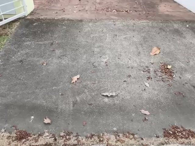 Video Image 1