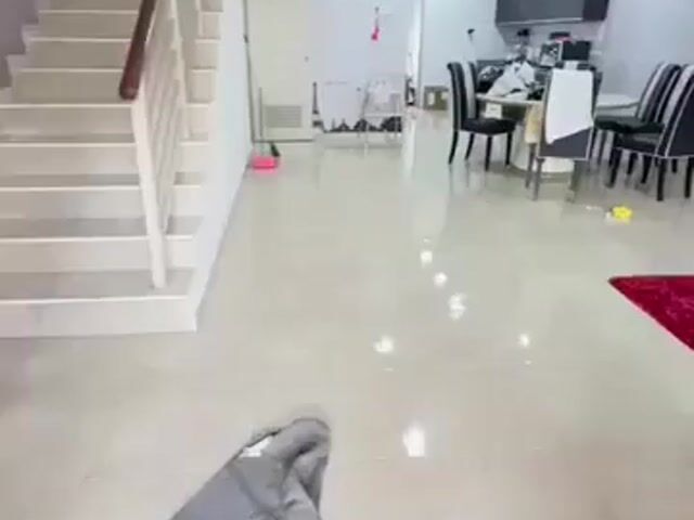 Video Image 1
