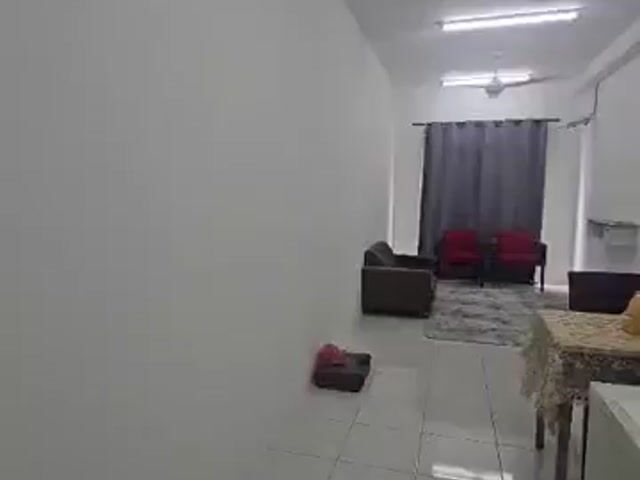 Video Image 1