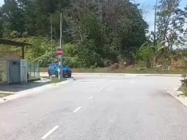 Video Image 1