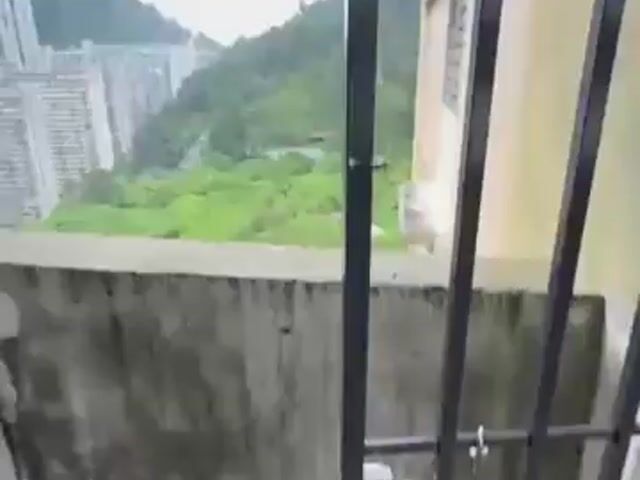 Video Image 1