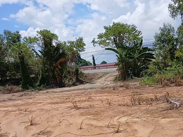 Video Image 1