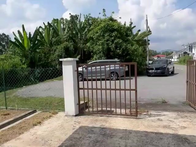 Video Image 1