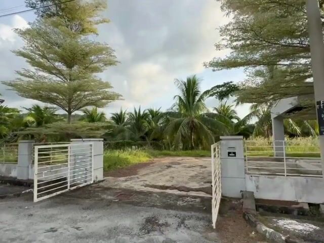 Video Image 1
