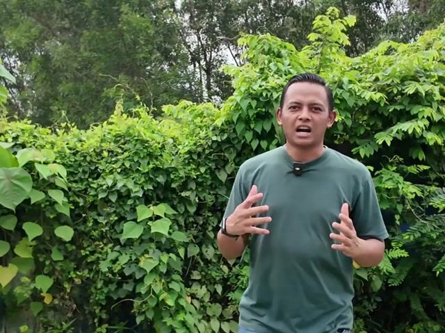 Video Image 1