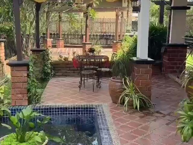 Video Image 1