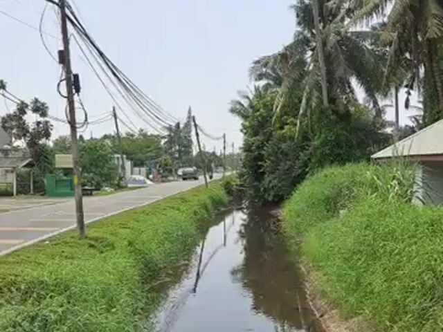 Video Image 1