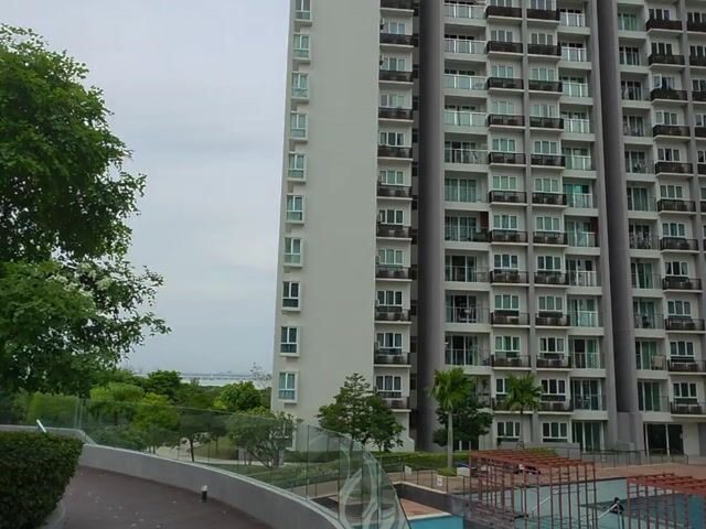 Video Image 1
