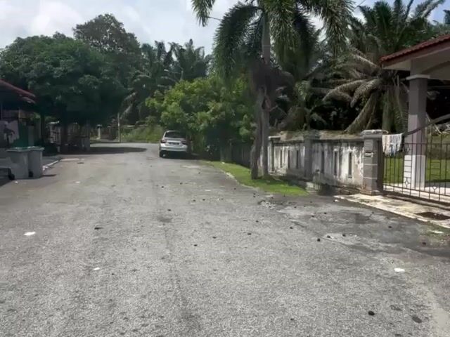 Video Image 1