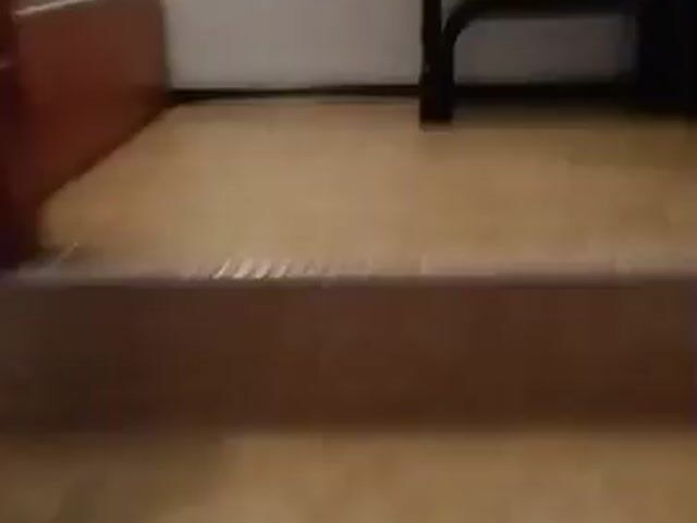 Video Image 1