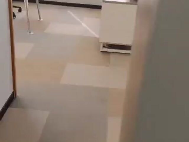 Video Image 1