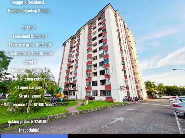 Video Image 1