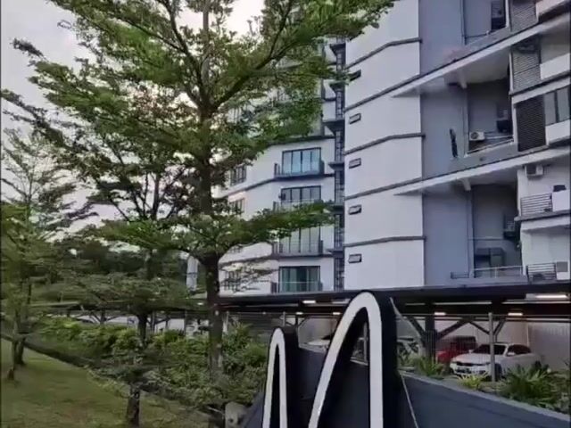Video Image 1