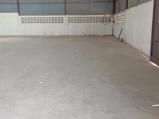 Video Image 1