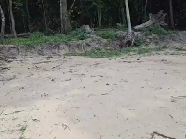 Video Image 1