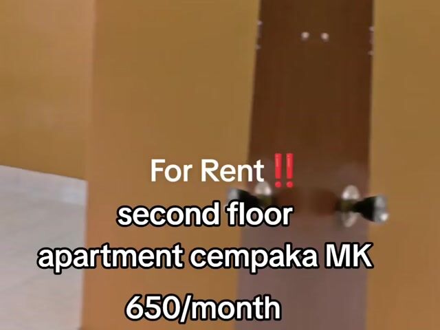 Video Image 1