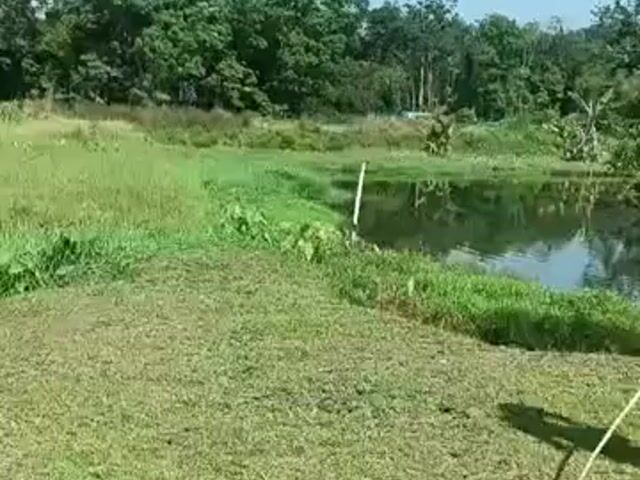 Video Image 1