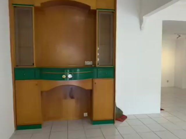 Video Image 1