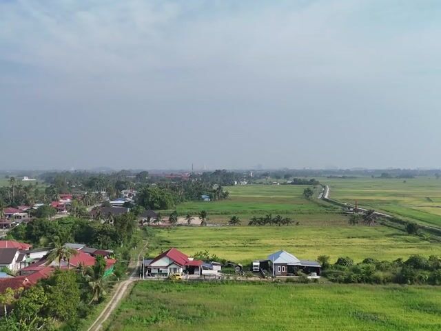 Video Image 1