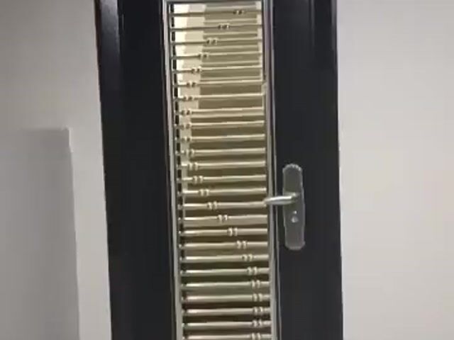 Video Image 1