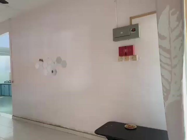 Video Image 1