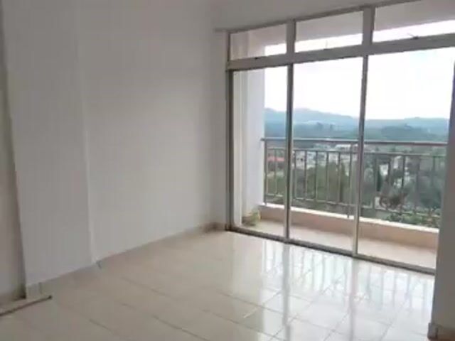 Video Image 1