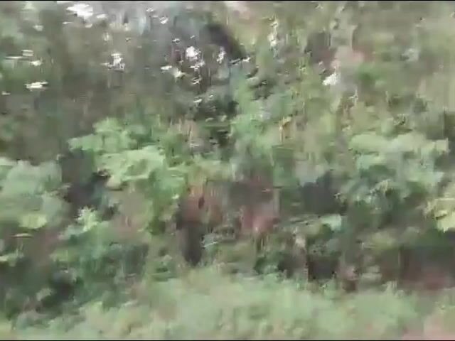 Video Image 1
