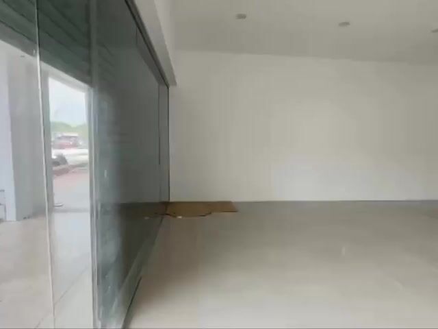 Video Image 1