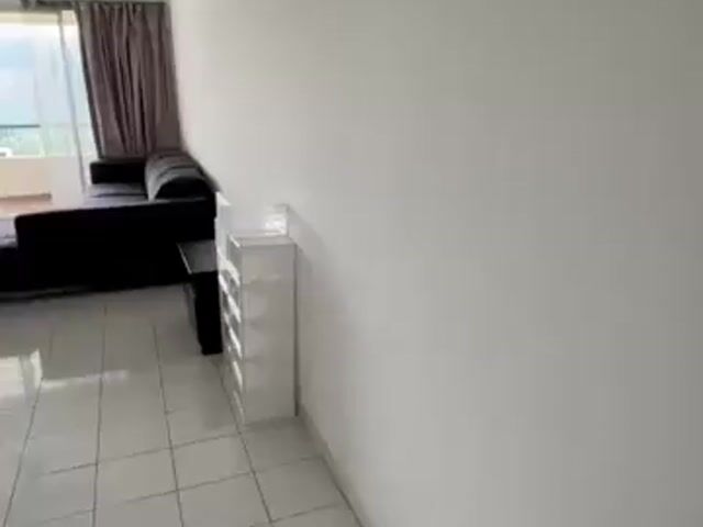 Video Image 1
