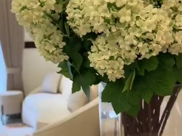 Video Image 1