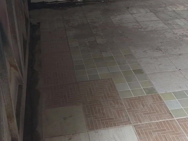 Video Image 1