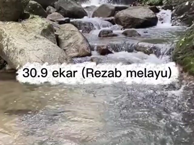 Video Image 1