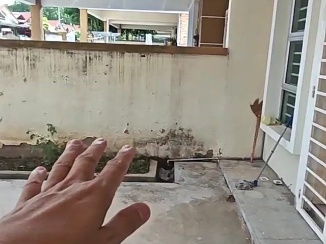 Video Image 1