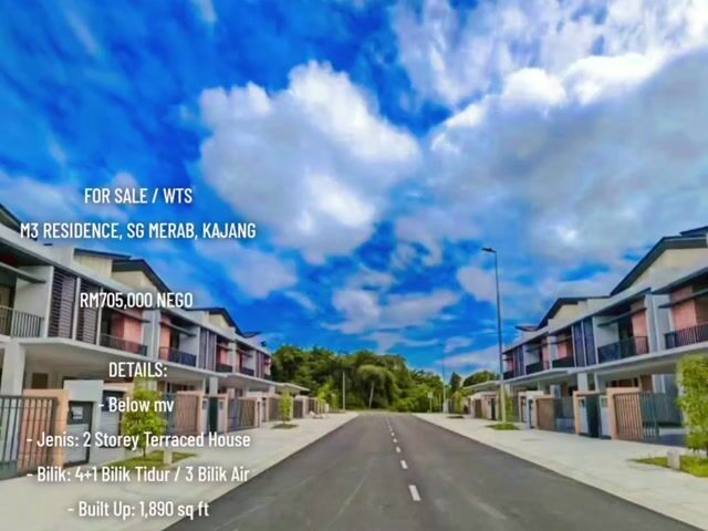 Video Image 1
