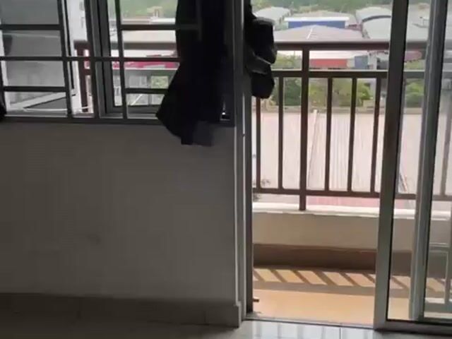 Video Image 1
