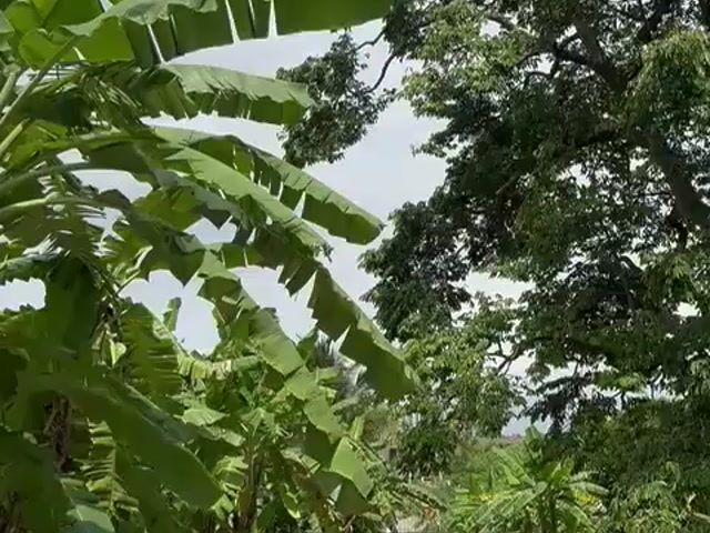Video Image 1