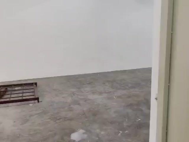 Video Image 1
