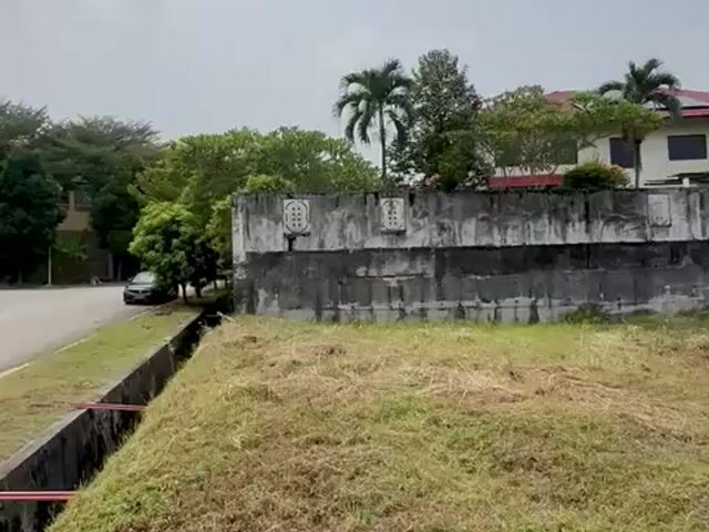 Video Image 1