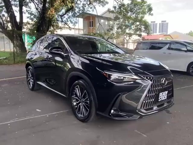 2024 Lexus NX250 2.5 VL SUNROOF 360 CAM - 1