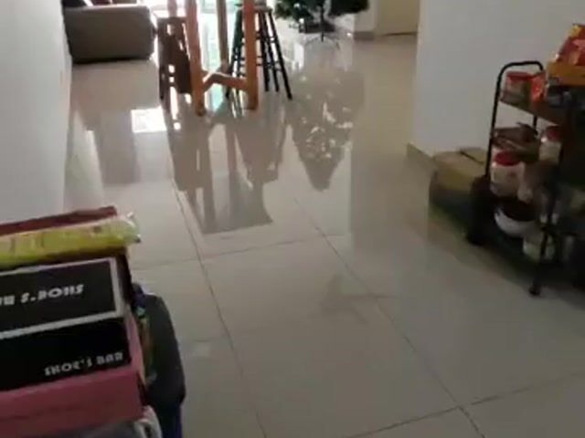 Video Image 1