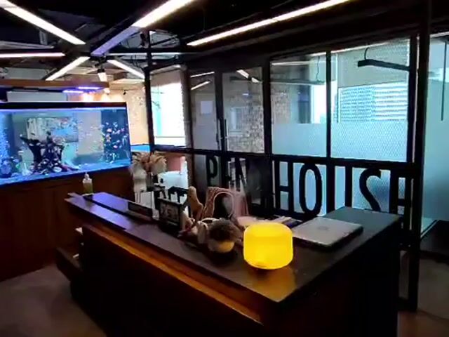 Video Image 1