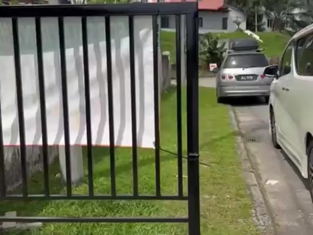 Video Image 1
