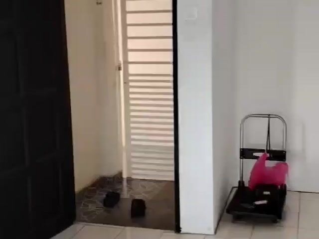 Video Image 1