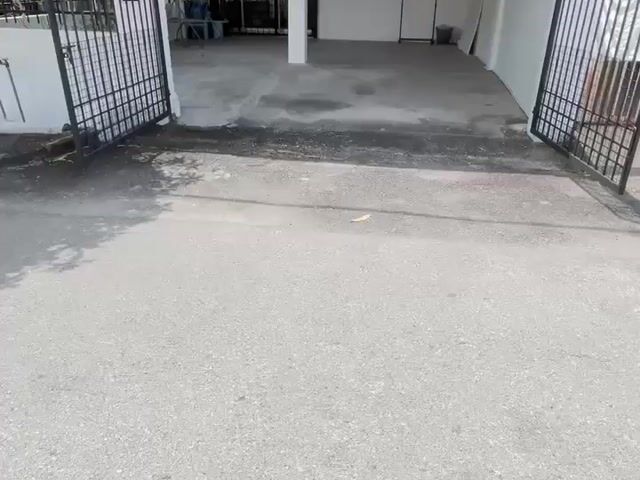 Video Image 1