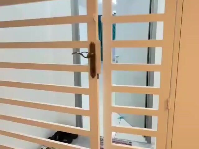Video Image 1
