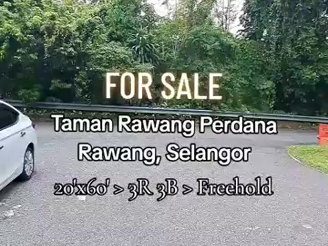 Video Image 1