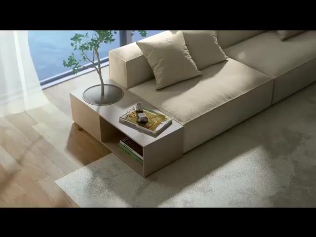 Video Image 1